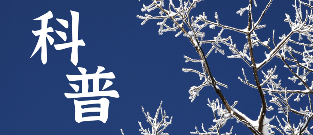 科普 | 冬季雨雪天氣?；愤\(yùn)輸車輛注意事項(xiàng)